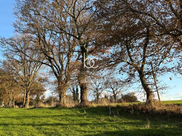 BERRIC Terrain 15736 m²