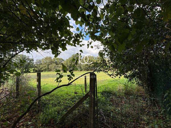 BERRIC Terrain 15736 m²