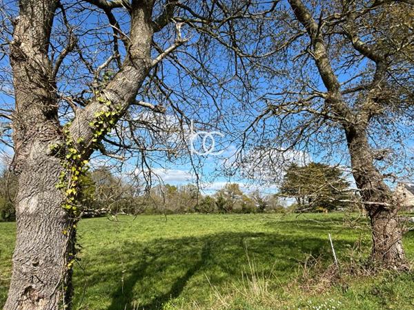 BERRIC Terrain 15736 m²