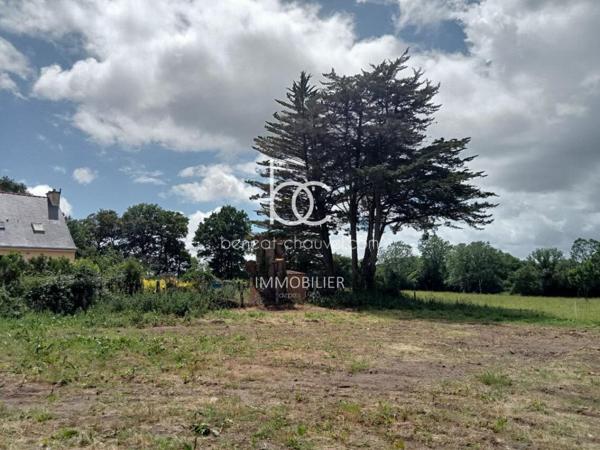 BERRIC Terrain 15736 m²