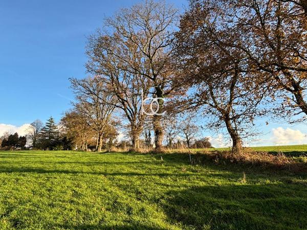 BERRIC Terrain 15736 m²