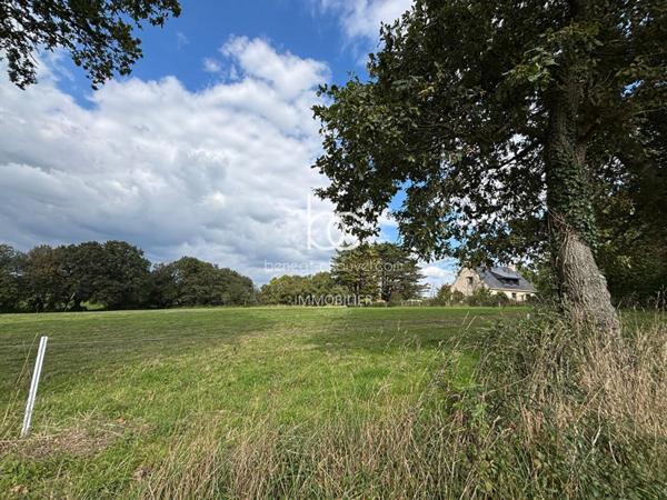 BERRIC Terrain 15736 m²