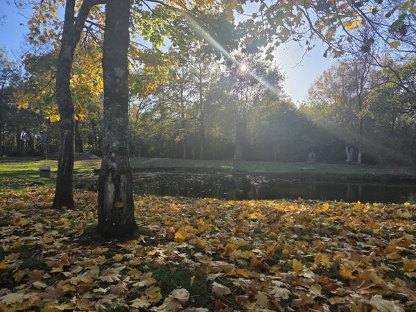 VALLET MAISON 4 CHAMBRES