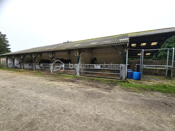 Terrain de 40 000 m²