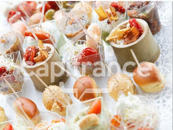 Dpt Côtes d'Armor (22), à vendre proche de Plouha Traiteur