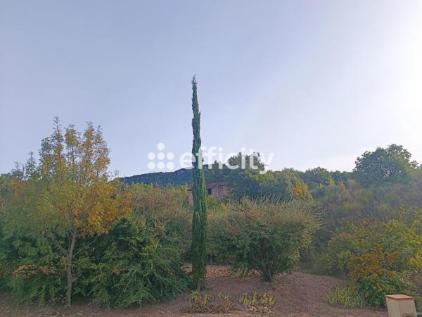 Appartement 2 pièces - 52 m² Exclusivité efficity