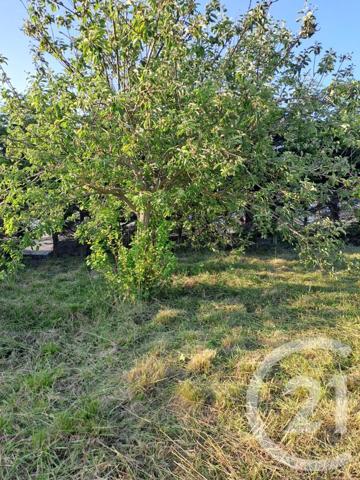 Terrain à vendre  693 m2 GUILVINEC - 29