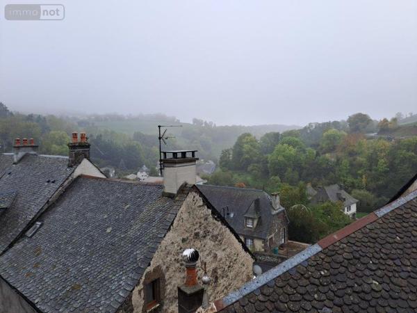 Immeuble à vendre à Pierrefort dans le Cantal (15230), ref : 044/1080
