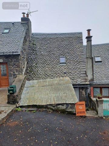 Immeuble à vendre à Pierrefort dans le Cantal (15230), ref : 044/1080
