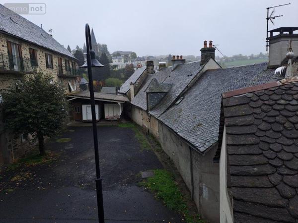 Immeuble à vendre à Pierrefort dans le Cantal (15230), ref : 044/1080