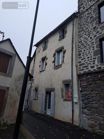 Immeuble à vendre à Pierrefort dans le Cantal (15230), ref : 044/1080