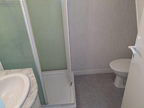 Immeuble à vendre à Pierrefort dans le Cantal (15230), ref : 044/1080