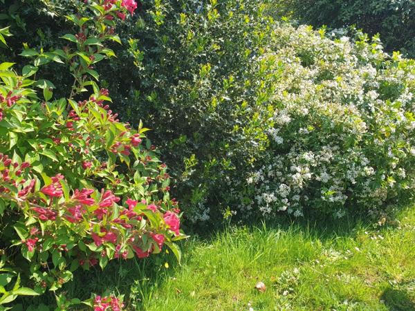 Bourg tous commerces