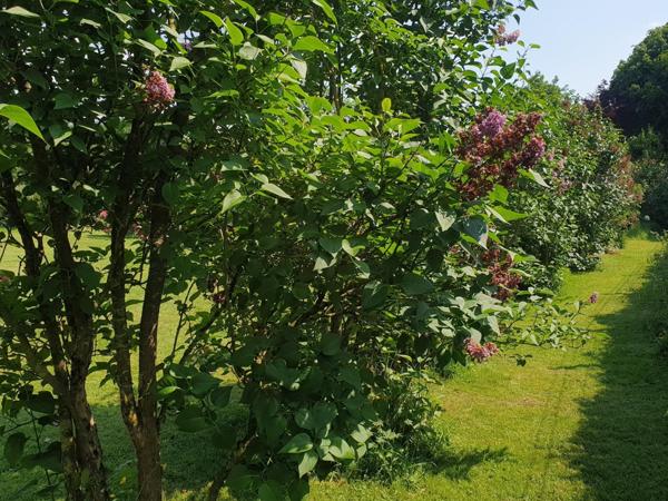 Bourg tous commerces