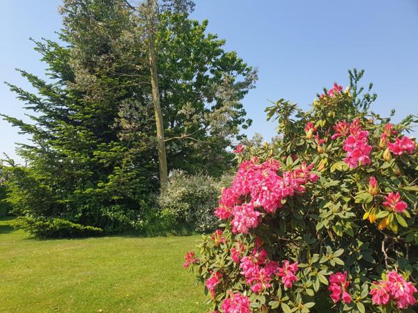 Bourg tous commerces