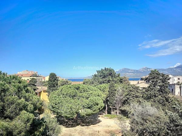 Vente Appartement 1 pièces 27 m2 à Calvi