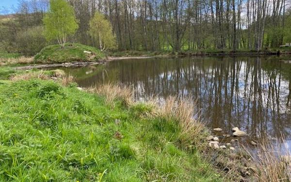 Maison à vendre    3 pièces •  Arleuf