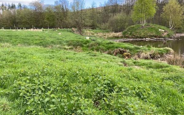 Maison à vendre    3 pièces •  Arleuf