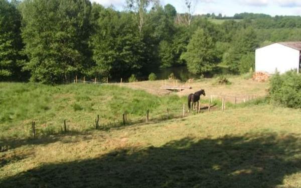 Maison à vendre    3 pièces •  Arleuf