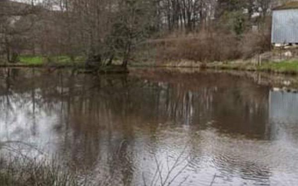 Maison à vendre    3 pièces •  Arleuf