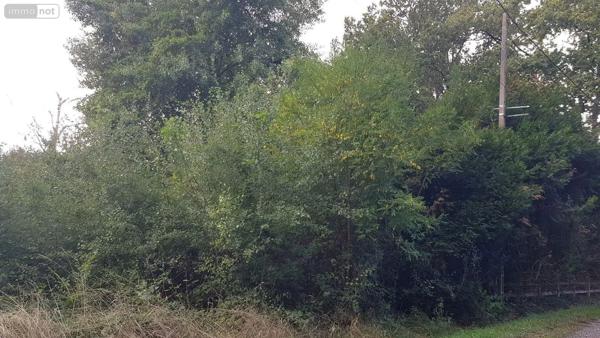 Achat - Terrain à bâtir Thénioux 18100 570 m 2 570 m 2