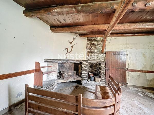 A Vendre Maison de Montagne Loudenvielle 4 pieces 200 m2