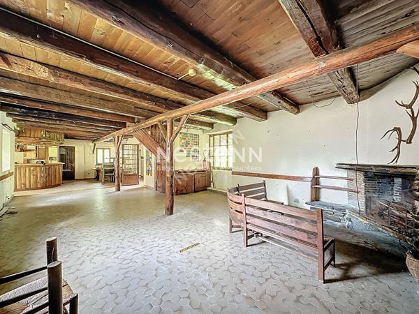 A Vendre Maison de Montagne Loudenvielle 4 pieces 200 m2