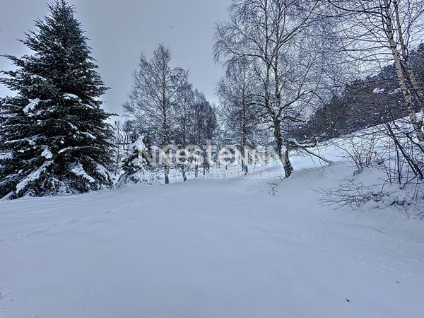 A Vendre Maison de Montagne Loudenvielle 4 pieces 200 m2