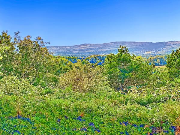 Trévoux (01600) Maison avec vue beaujolais, familiale 5 chambres avec piscine, terrain 819 m².