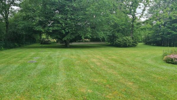 Terrain  constructible Saint Denis D' Orques 2900 m2