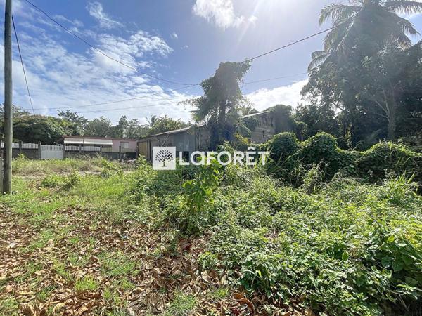 Achat maison Morne-à-l'Eau - 3 pièce(s) - 59 m² - 270 000 €
