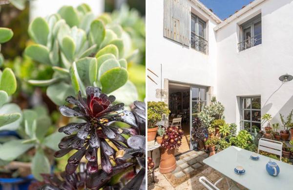 Maison Ars En RÉ 5 pièce(s) 150 m2