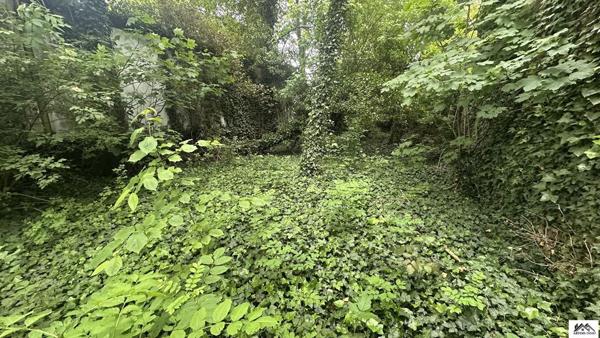 Terrain - LENS