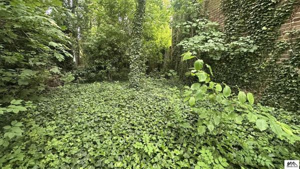 Terrain - LENS