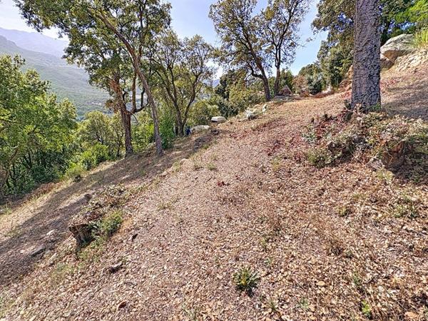 Terrain avec permis de construire à TAVACO