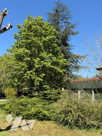 Maison individuelle.