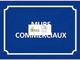 MURS COMMERCIAUX VIDES
