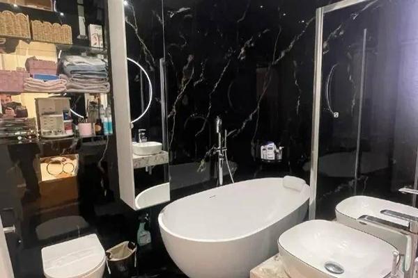 APPARTEMENT BOURGEOIS RENOVE ET MEUBLE AVEC GARAGE