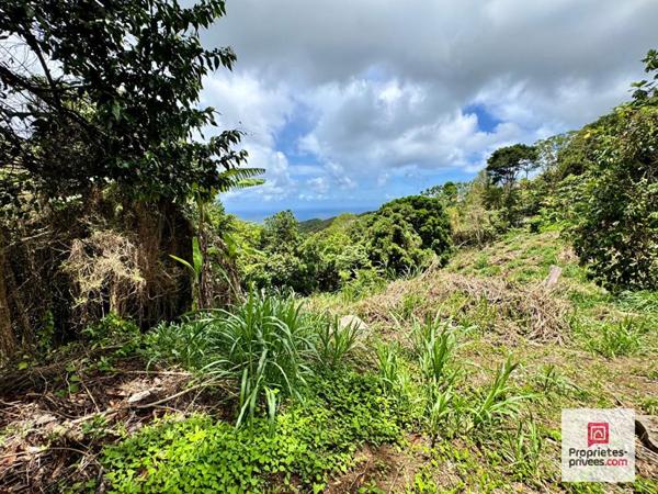 NOUVEAUTE- TERRAIN CONSTRUCTIBLE 2 480 M² - VUE MER -SAINTE-LUCE