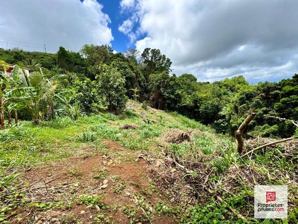 NOUVEAUTE- TERRAIN CONSTRUCTIBLE 2 480 M² - VUE MER -SAINTE-LUCE