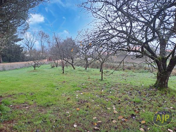 Vente terrain Froidfond : 60 000 € - AJP Immobilier Challans