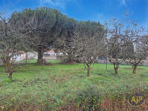 Vente terrain Froidfond : 60 000 € - AJP Immobilier Challans
