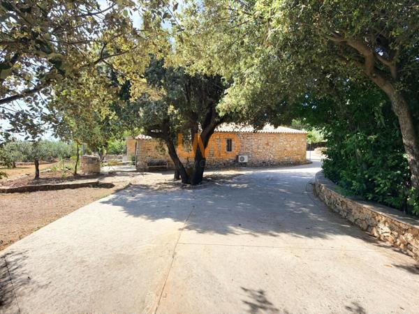 Mas en pierre sur 1,2 hectare – oliveraie, calme
