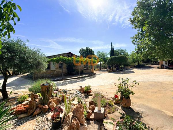 Mas en pierre sur 1,2 hectare – oliveraie, calme