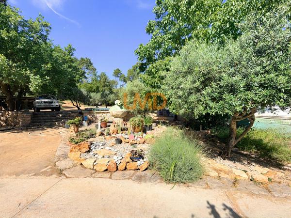 Mas en pierre sur 1,2 hectare – oliveraie, calme
