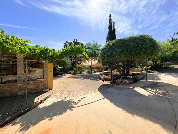 Mas en pierre sur 1,2 hectare – oliveraie, calme