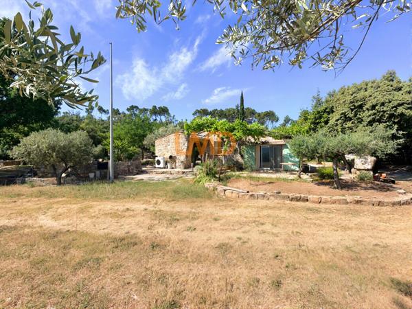 Mas en pierre sur 1,2 hectare – oliveraie, calme