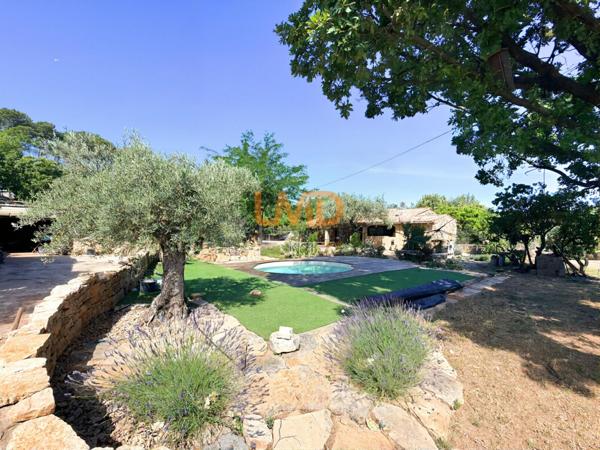 Mas en pierre sur 1,2 hectare – oliveraie, calme