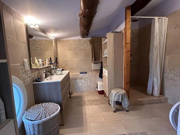 MAS PROVENCAL  Arles 5 pièce(s) 164 m2