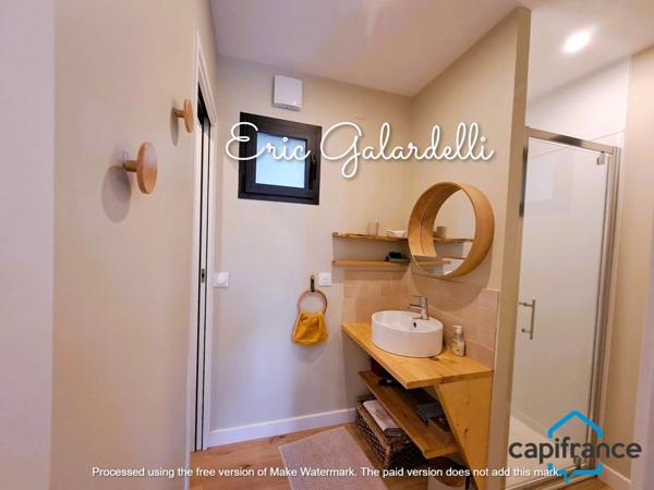 À vendre : Tiny House exceptionnelle à CASALABRIVA (20)